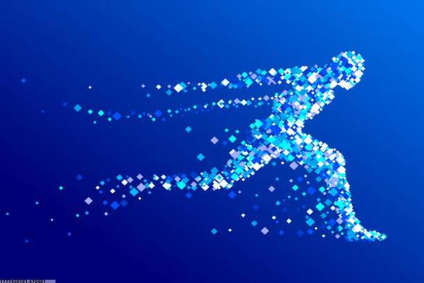 大学生体育培训新闻稿写作示例